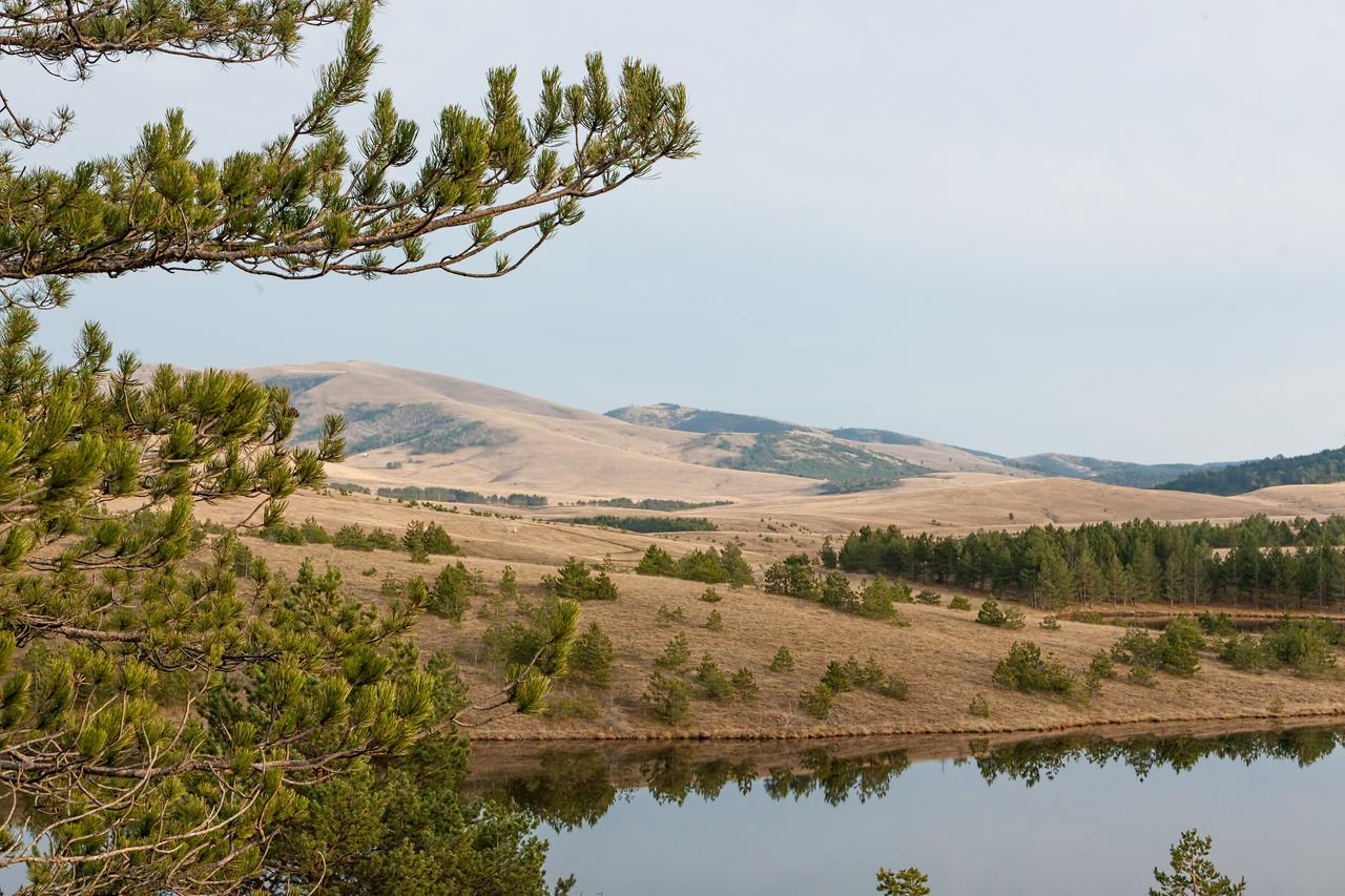Apartment Goldpine Zlatibor